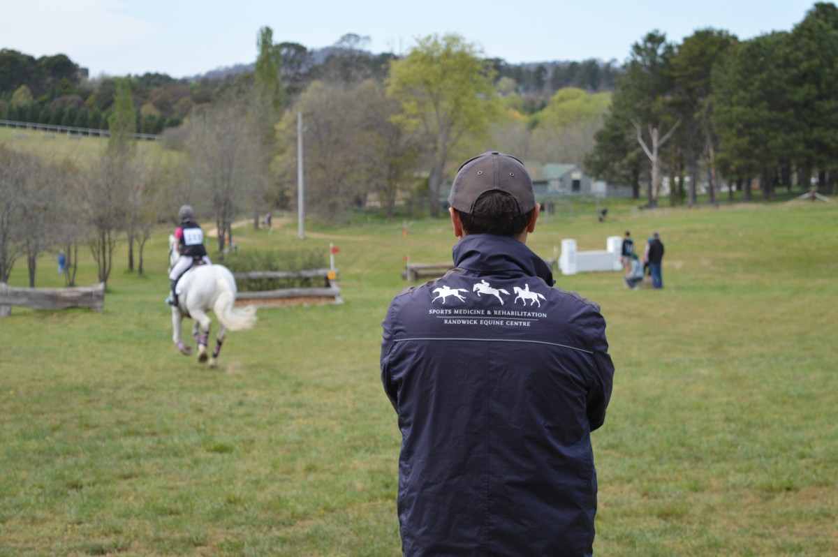Sport Horse Services | Randwick Equine